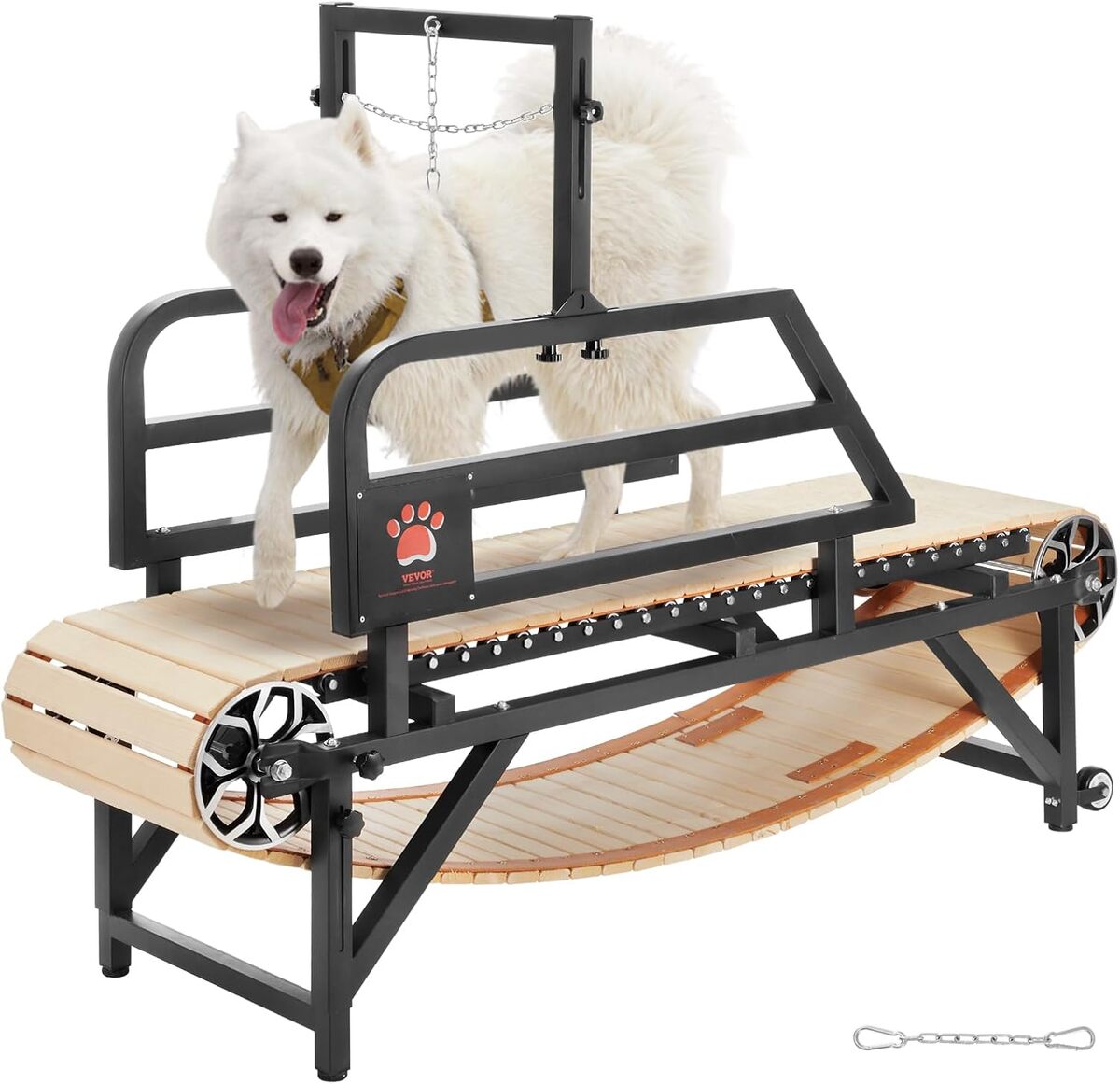Test : tapis de marche VEVOR pour chiens, charge 100 kg