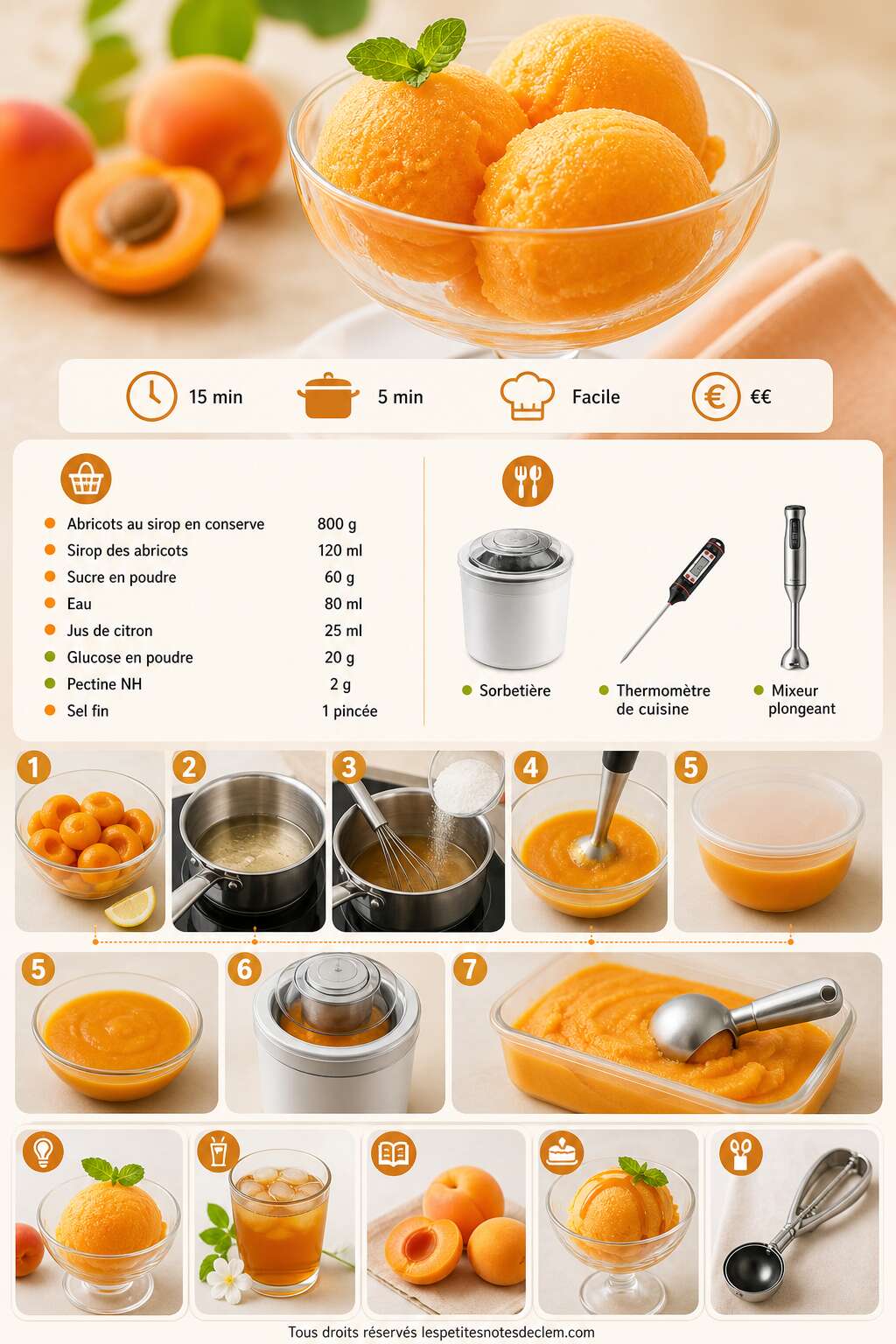 Fiche recette Sorbet à l'abricot : recette rafraîchissante et saine Fiche recette Sorbet à l'abricot : recette rafraîchissante et saine