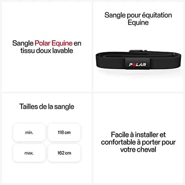 Découvrez notre test du cardiofréquencemètre Polar Equine avec capteur H10 : performances, avantages et efficacité pour le suivi de la santé de votre cheval trotteur.